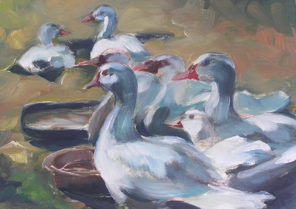 Frauke Gloyer, Gänse – Ölgemälde