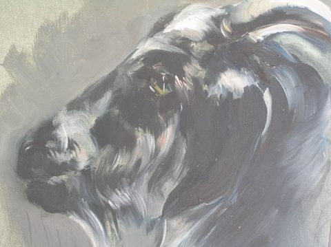 Tierleben – Galerie Frauke Gloyer
